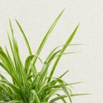 201109_2048x2048