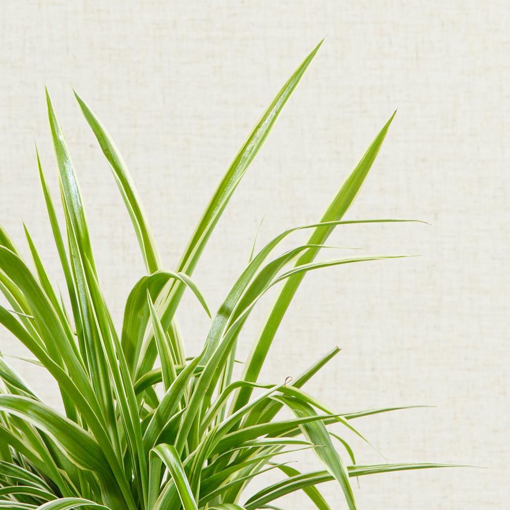 201109_2048x2048 201109_2048x2048