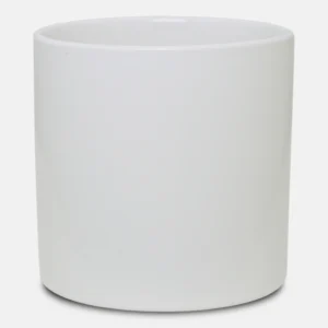 Κασπώ Λευκό